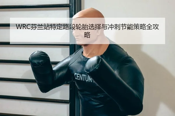 WRC芬兰站特定路段轮胎选择与冲刺节能策略全攻略
